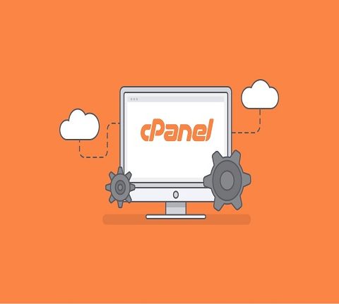 سی پنل چیست؟