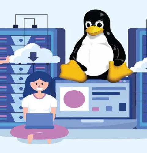 هاست لینوکس چیست و چه ویژگی‌هایی دارد؟